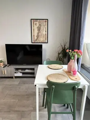 Télévision ou salle de divertissement dans l'établissement Le Panorama - GÎTES MARCK