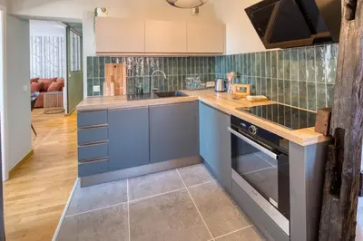 Cuisine ou kitchenette dans l'établissement Appartement Le Verdoyant hyper centre avec Parking et Sauna