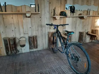 Vélo sur le terrain de l'établissement Apigîte68, proche route des vins, Vosges, Colmar et non loin d'Europa-Park! ou dans les environs