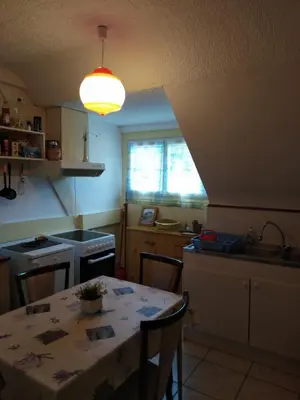 Cuisine ou kitchenette dans l'établissement Appart du 119