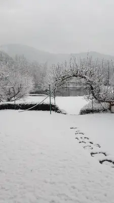 L'établissement La maison et l'étang de pêche en hiver