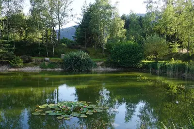 Paysage naturel près de la maison de vacances