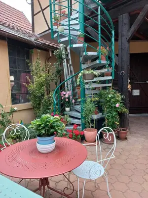 Jardin de l'établissement Zewwelatreppler - La Grange aux Petits Oignons - Chambre Rainette