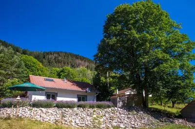 Paysage naturel près de la maison de vacances
