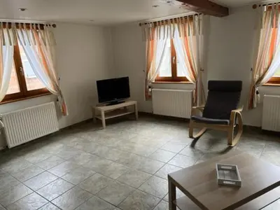 Télévision ou salle de divertissement dans l'établissement Maison Alsacienne