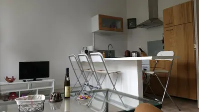 Télévision ou salle de divertissement dans l'établissement Appartement Colmar Centre Le 4