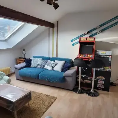 Le Trésor des Vosges Appartement spacieux et lumineux 80m2 - jeux arcades - idéal famille 4 à 6 personnes