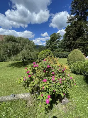 Paysage naturel près de le séjour chez l'habitant