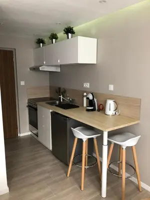 Cuisine ou kitchenette dans l'établissement Le Green Cocoon au dessus du vignoble Alsacien