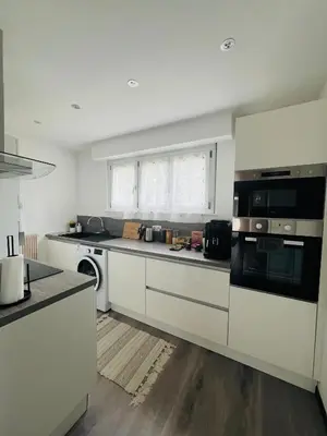 Cuisine ou kitchenette dans l'établissement Superbe appartement lumineux avec parking gratuit