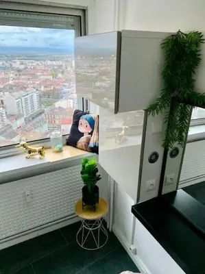Clients de l'établissement Grand appartement 2 chambres 5 pers max, vue panoramique avec parking