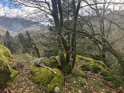 Paysage naturel près de l'appartement