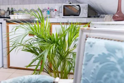 Télévision ou salle de divertissement dans l'établissement Studio sous les étoiles au coeur de Jaurès