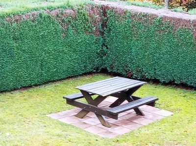 Jardin de l'établissement Chez Vivi et Jean Pierre Maison 9 personnes au calme vue montagne WIFI