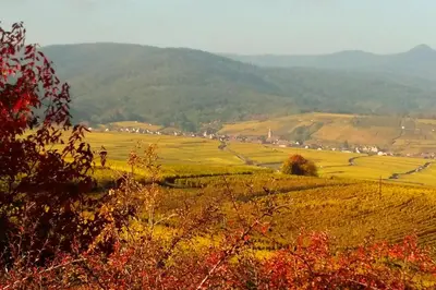 Paysage naturel près de l'appartement