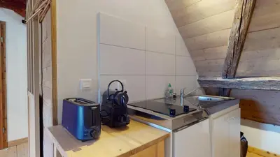 Cuisine ou kitchenette dans l'établissement Les Appartements Manala - Turckheim