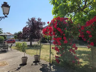 Jardin de l'établissement Au petit bonheur