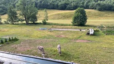 Jardin de l'établissement Villa Valtin