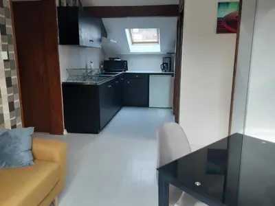 Cuisine ou kitchenette dans l'établissement Appartement du parc