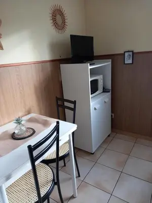 Cuisine ou kitchenette dans l'établissement Les appartements du Lion de Belfort