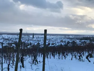 L'établissement Le Logis du Vignoble en hiver