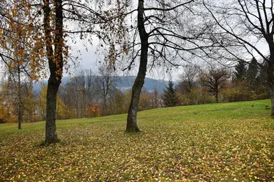 Paysage naturel près de l'appartement