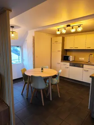 Cuisine ou kitchenette dans l'établissement Duplex moderne à 10 minutes de Colmar