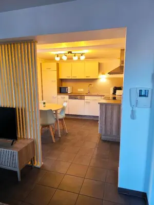 Cuisine ou kitchenette dans l'établissement Duplex moderne à 10 minutes de Colmar