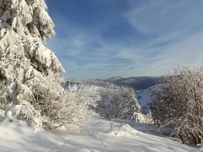 Paysage naturel près de la maison de vacances