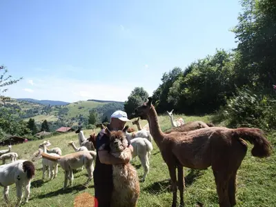 Animaux dans la maison de vacances ou à proximité