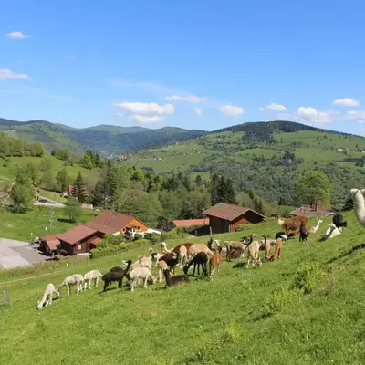 Chalet familial à La Bresse