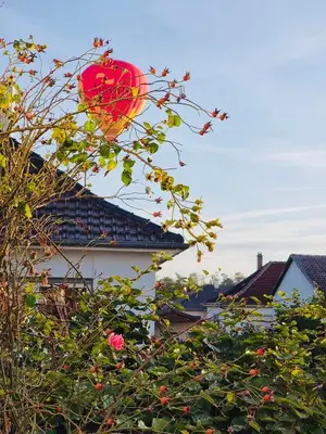 Jardin de l'établissement Aux Portes de Colmar Évasion sur la route des Vins , à 5 minutes de Colmar
