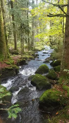 Paysage naturel près de l'appartement
