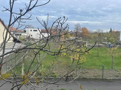 Jardin de l'établissement La Grange proche d’Europapark
