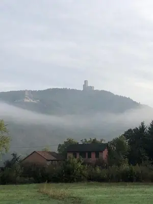 Paysage naturel près de l'appartement