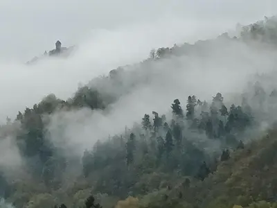 Paysage naturel près de l'appartement