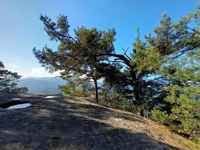 Paysage naturel près de l'appartement