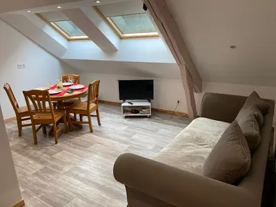 Télévision ou salle de divertissement dans l'établissement Le cosy de la vologne