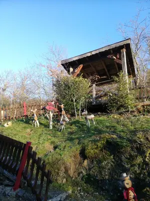 Jardin de l'établissement Gîte du Durrenbach