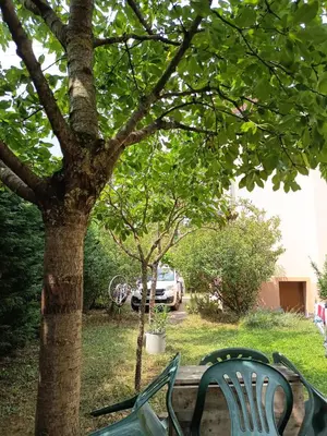 Jardin de l'établissement Appart 4 pers refait neuf 90m2 avec balcon