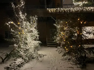 L'établissement Gîte des hirondelles - Appartement de 75 m2 en hiver