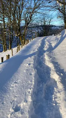 L'établissement Gîte Le Pingu - spacieux, calme, plein sud - cabine sauna - 8 personnes en hiver