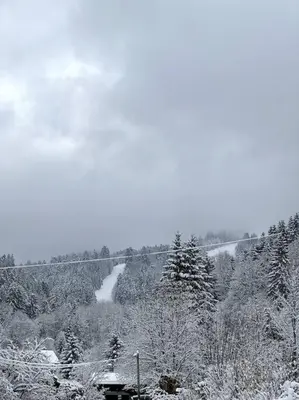 L'établissement APT. PRIVÉ «Le skieur» / Accès Ski / Cosy & équipé en hiver