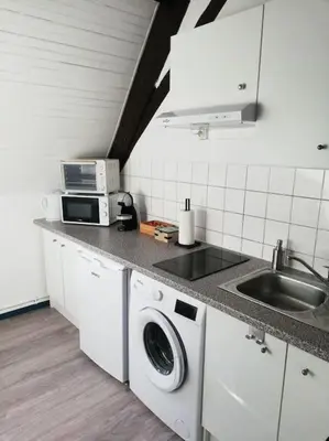Cuisine ou kitchenette dans l'établissement Cité des Princes