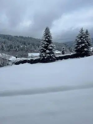 L'établissement Gérardmer Appt 4/6 rez de jardin en hiver