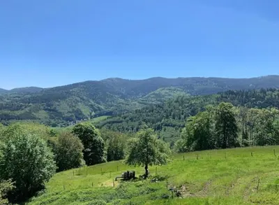 Paysage naturel près de l'appartement