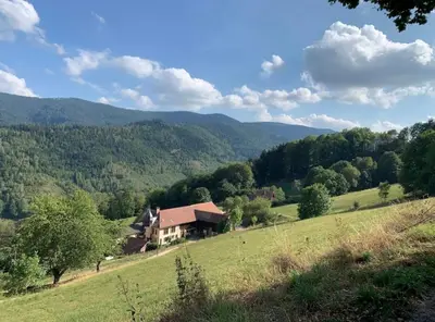Paysage naturel près de l'appartement