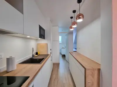 Cuisine ou kitchenette dans l'établissement Travel Homes - NewGate 3, elegant, heart of Colmar