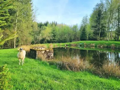 Paysage naturel près de le chalet