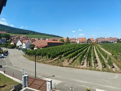 Paysage naturel près de la maison d'hôtes